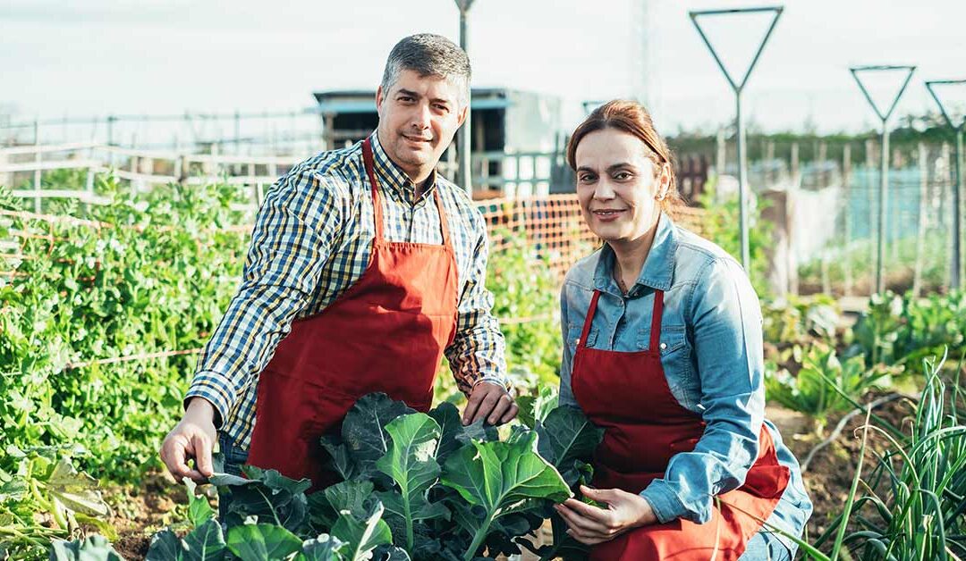 Keystone Harvest Farm