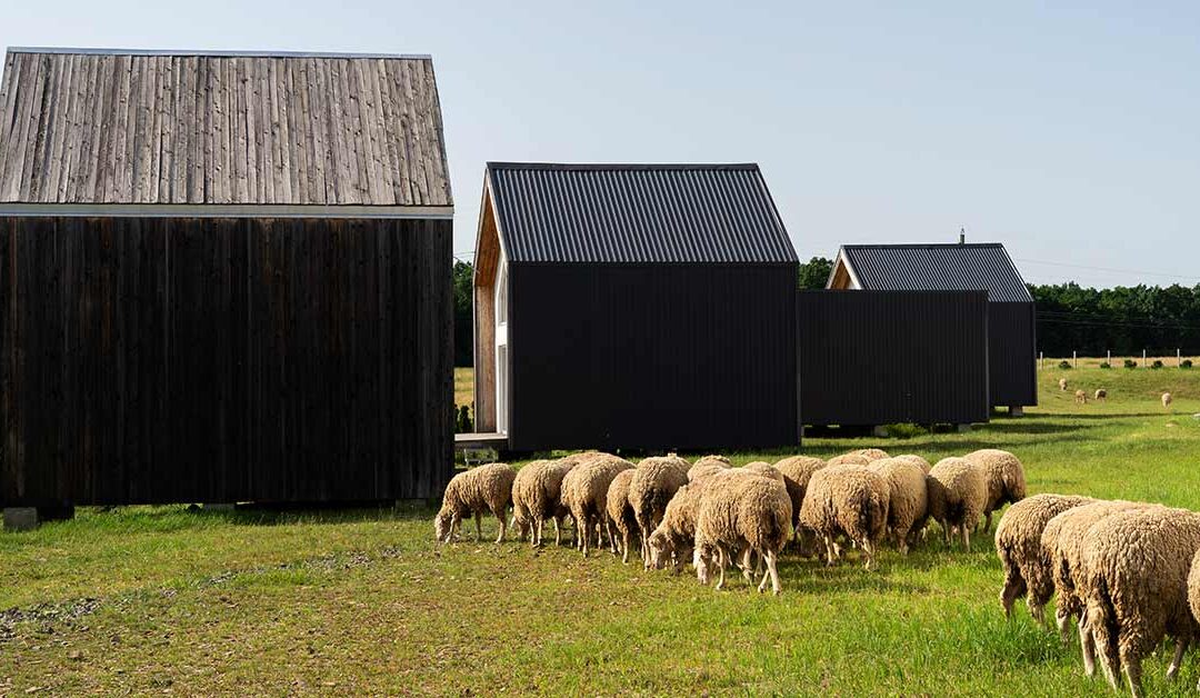 Maple Grove Organics